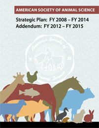 strategic plan