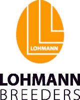 Lohmann Breeders