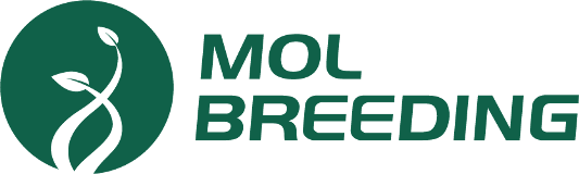 MolBreeding