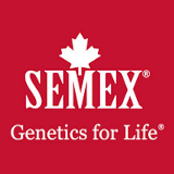 Semex