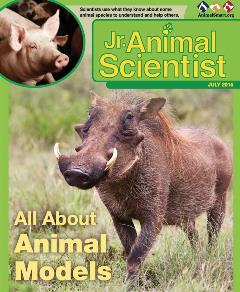 JrAniSciJuly'15cover