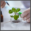 TS, biotechnology