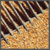 TS,  corn processing, 100 x 100