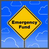 TS, emergency fund, 100 x 100