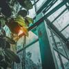 TS greenhouse gas