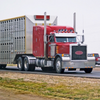 TS livestock trailer