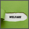 TS, welfare, 100 x 100