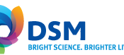 DSM-175x78.png