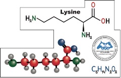 Lysine magnet