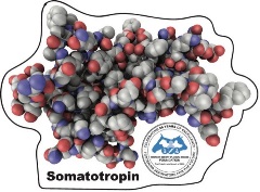 Somatotropin magnet