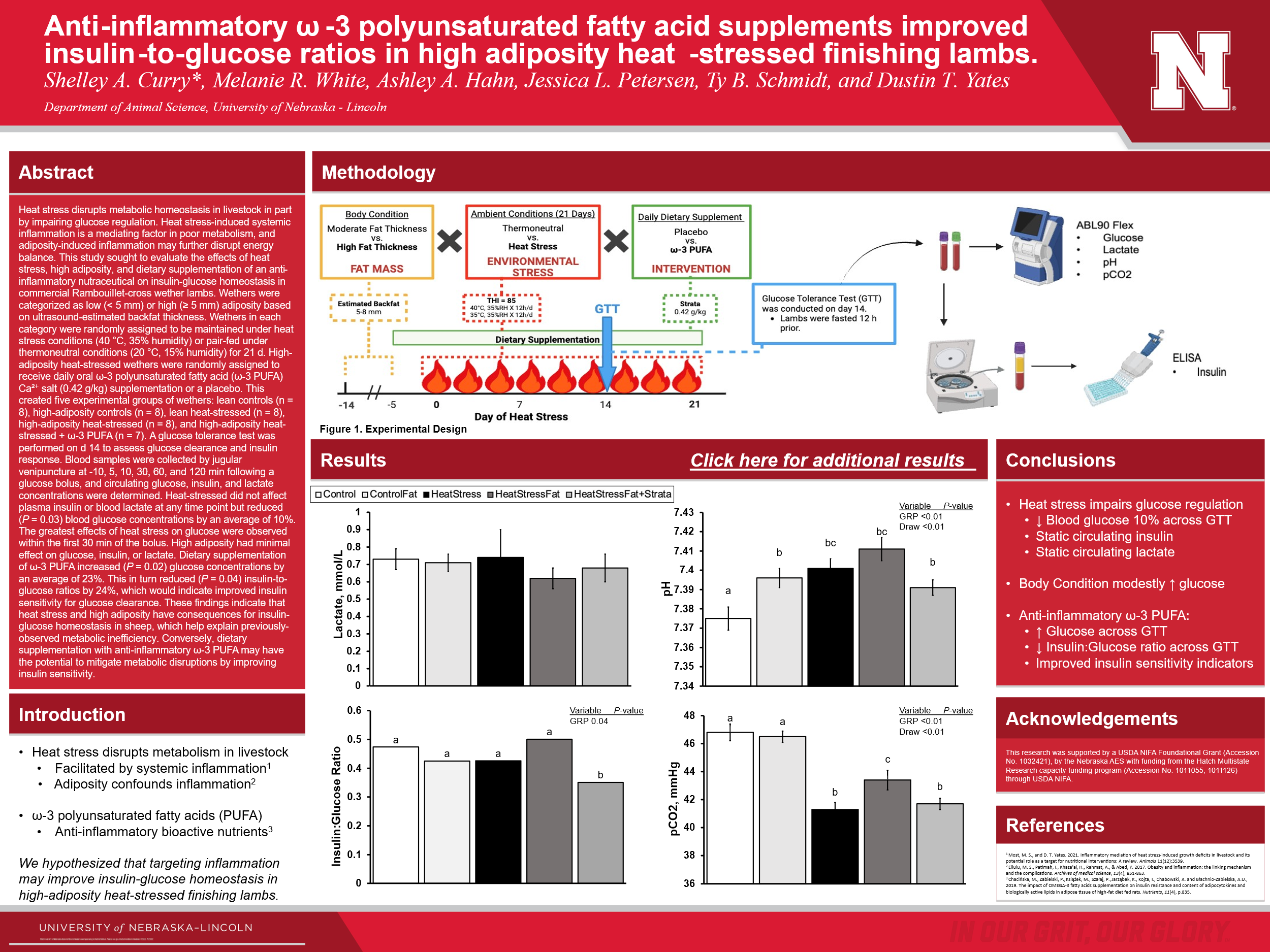 poster_example