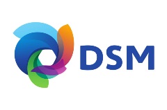 DSM-logo copy