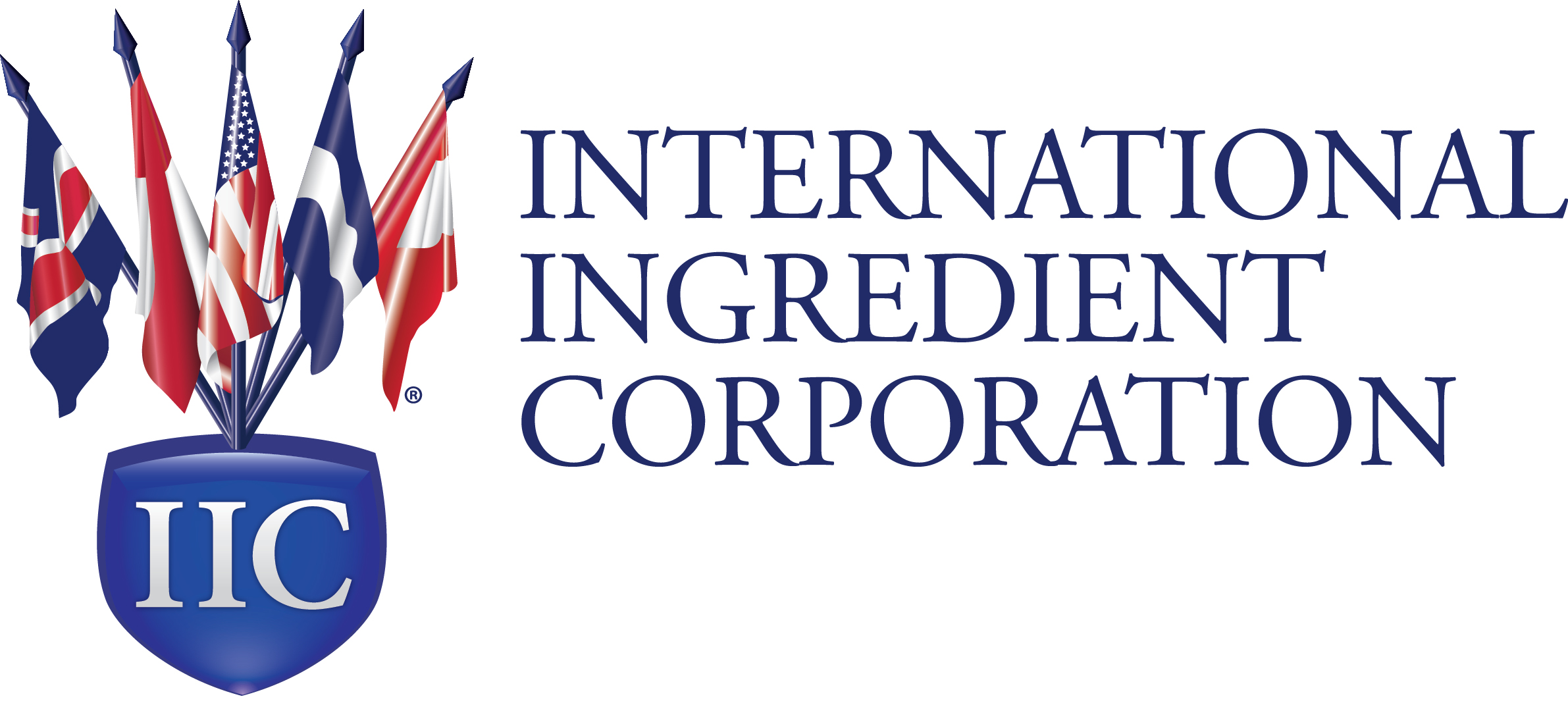 IIC Logo stacked-large